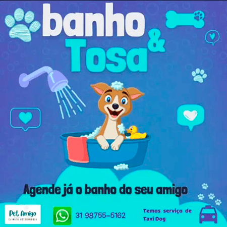 Pet Shop no Jaqueline em Belo Horizonte MG