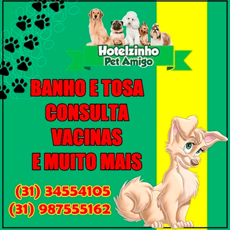 Pet Shop no Jaqueline em Belo Horizonte MG